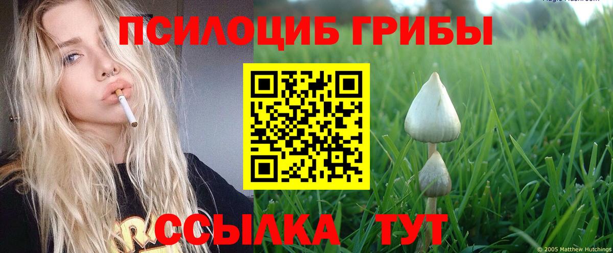 Галлюциногенные грибы Psilocybine cubensis  Вход с VPN  купить закладку  Богородск 