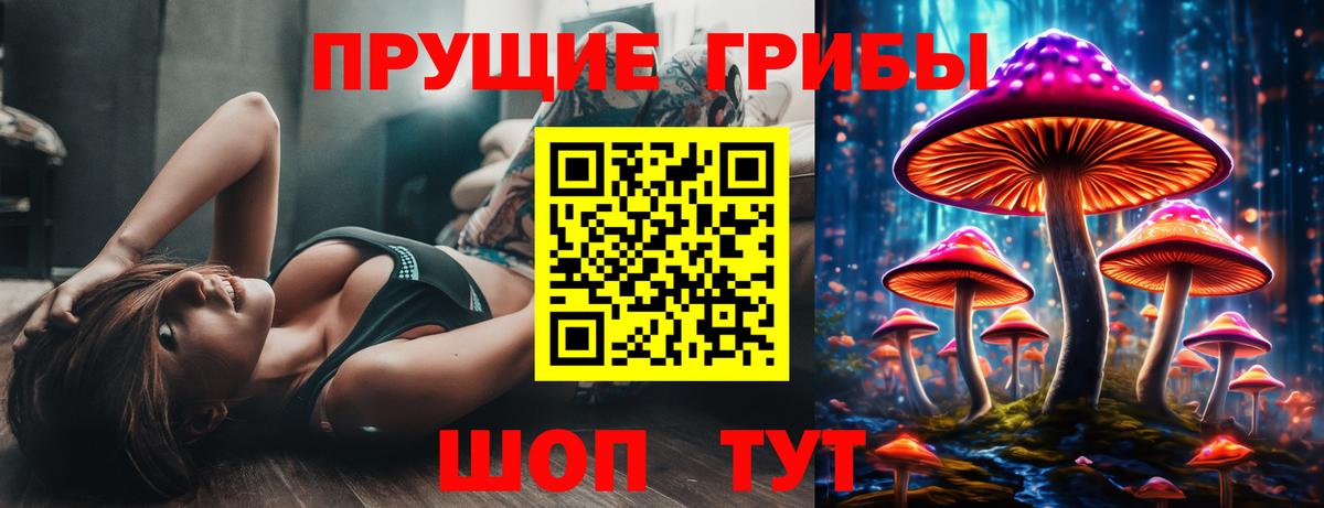 Псилоцибиновые грибы GOLDEN TEACHER Богородск